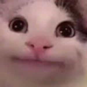 Meet your Posher, Skyy